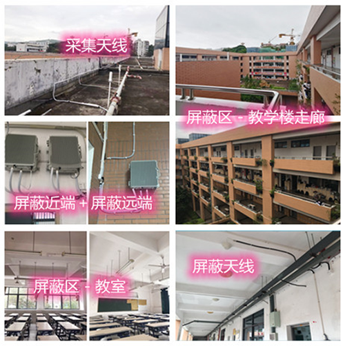  双柏某中学考场屏蔽案例（数字信令级）